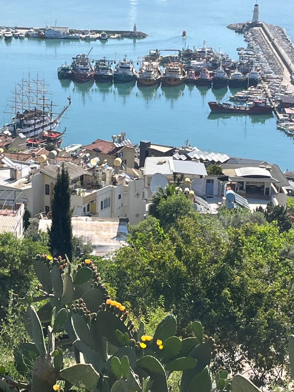 Tourist captures Alanya harbor views and caged parrot moments