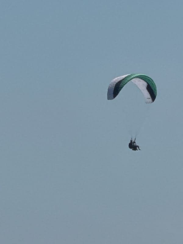 Paragliders soar over Montenegro's Adriatic coast on a clear afternoon