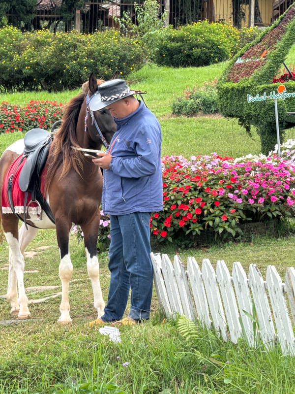 Lakeside Da Lat: horses, scooters, flower gardens, and tourist life