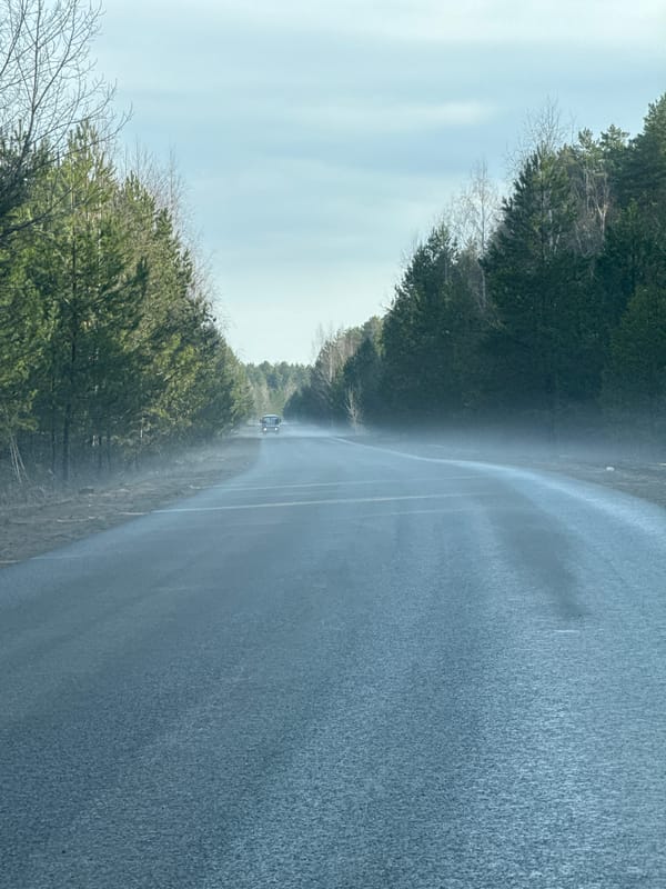 Wet tree-lined road observed near Chaikovsky, Russia