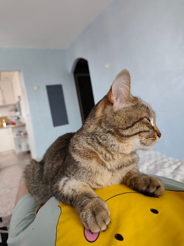 Morning domestic life documented in Chaikovsky, Russia apartment