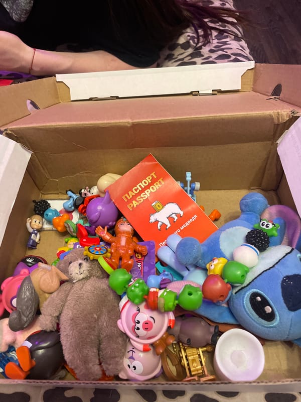Russian resident catalogs personal toy collection, keepsakes during evening