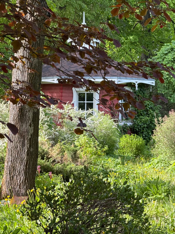 Child plays in garden setting documented in Sapronovo