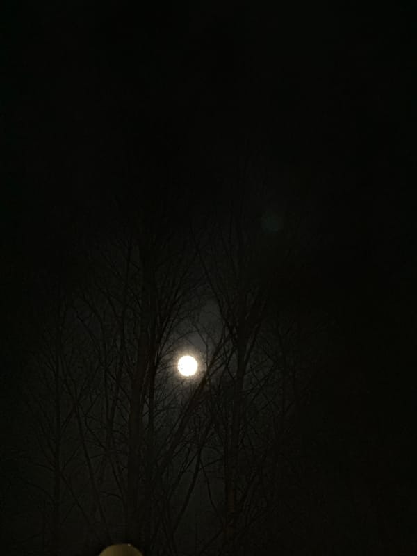 Nighttime scenes captured in Dmitrov featuring moonlight and illuminated building
