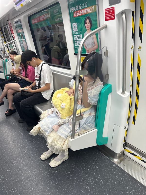 Light blue lace dress and yellow sheep bag on the subway