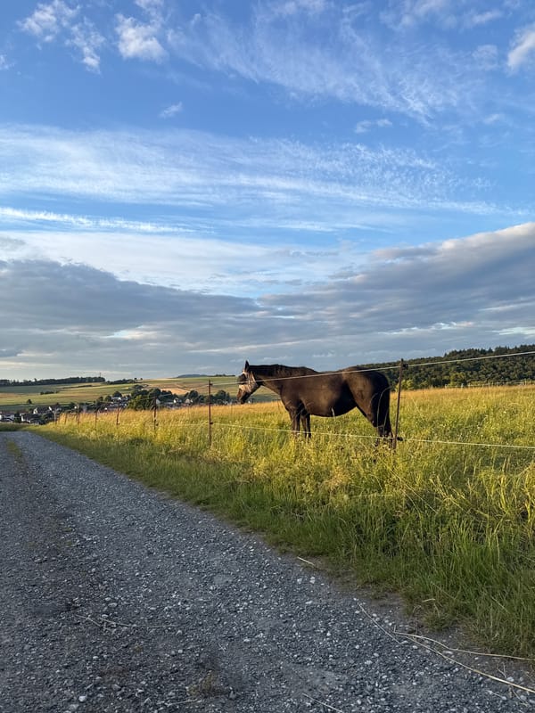 Rural countryside scenes with horse in Oberquembach, Germany