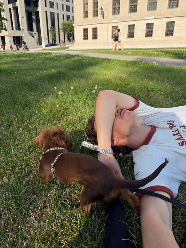 Dachshund and owner taking it easy in a Montreal park