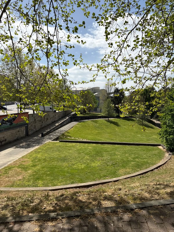 Street landscaping documented in Vila Real, Portugal