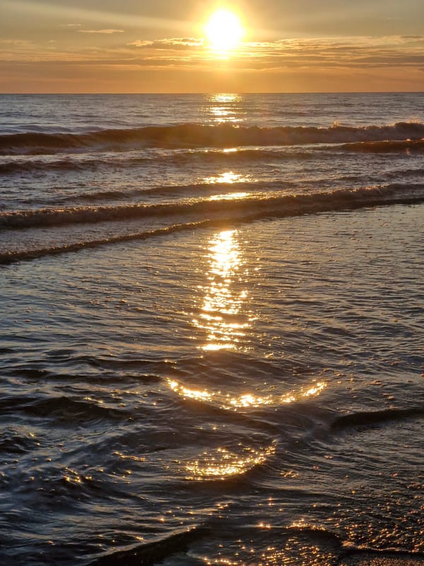 Baltic sunset on the Klaipėda shore, golden hour