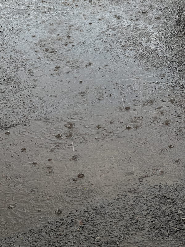 Midday rain shower hits the streets of Kokshetau