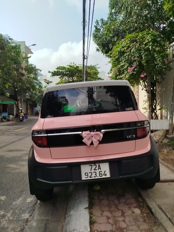 Pink VinFast electric car with decorative bow spotted in Ho Chi Minh City