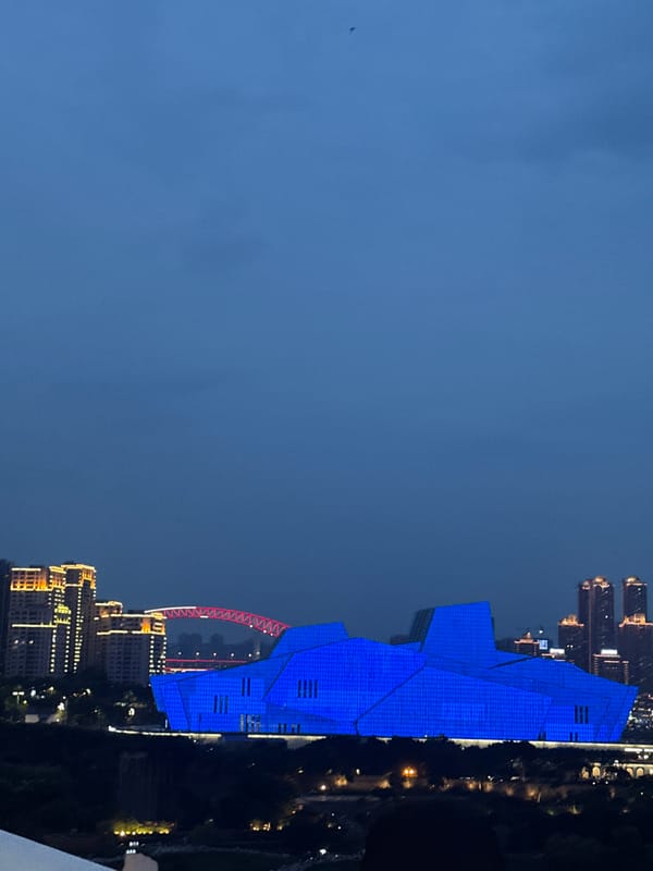 Chongqing's Yuzhong District glowing on a summer night