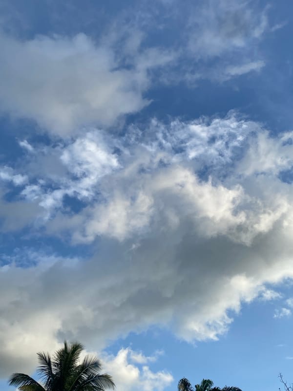 Clouds and coconut palms over Maigizo, Nigeria