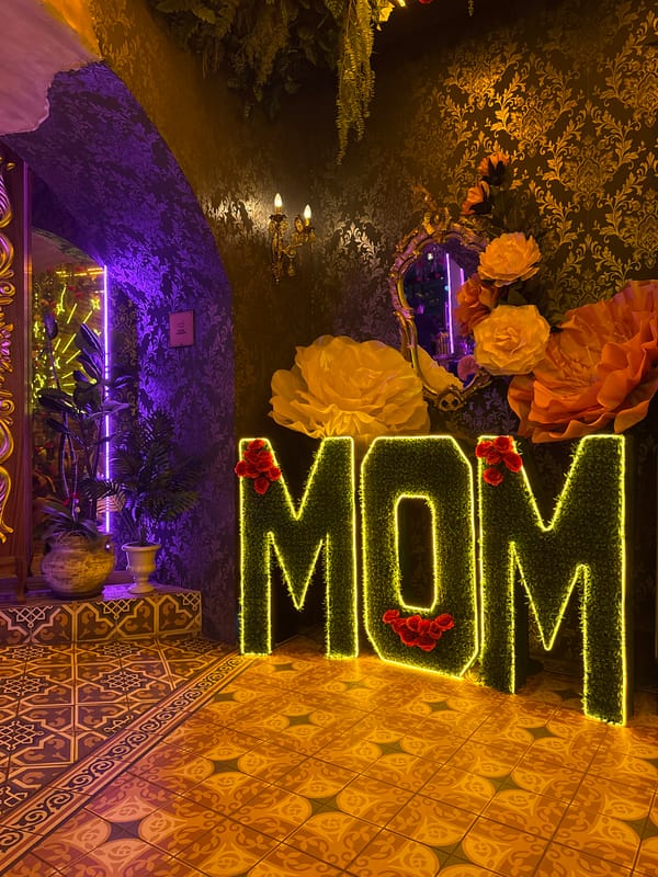Neon-lit decorative installations documented in Puebla interior space