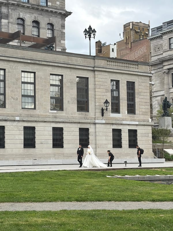 Wedding photoshoot and playful dogs captured in Montreal evening