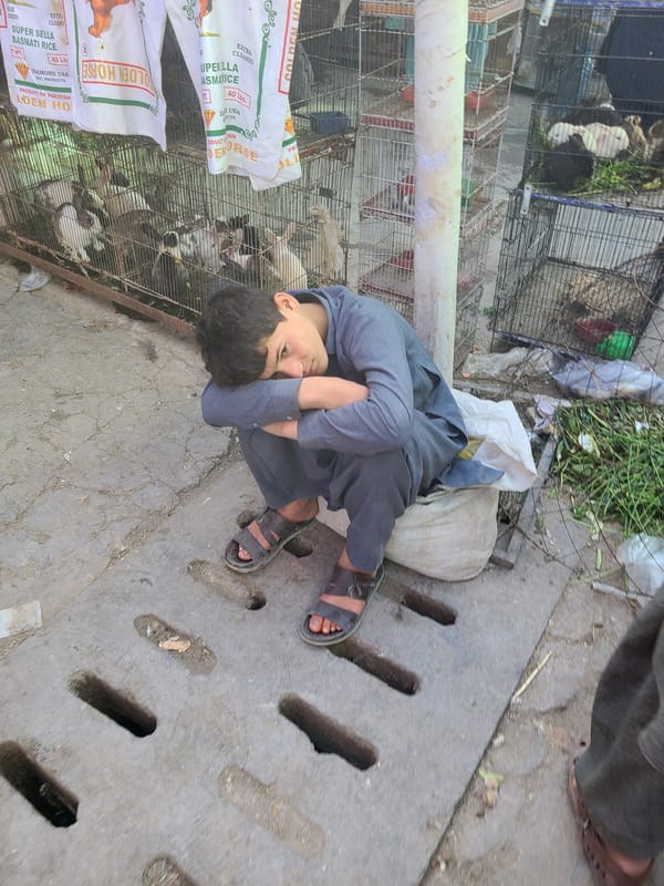 Morning street vendors conduct daily business in Quetta, Pakistan