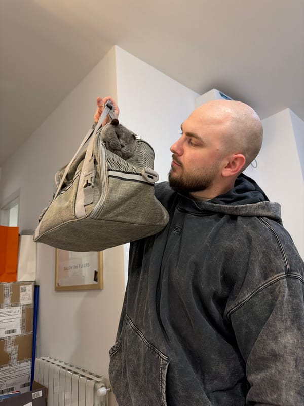 Man carries cat in carrier through Tbilisi streets
