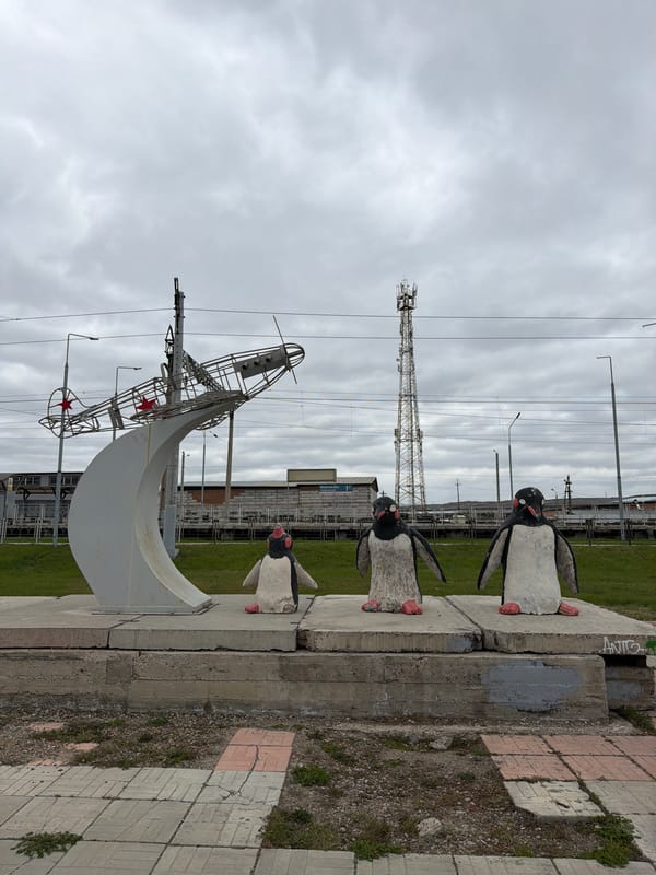 Man poses with penguin statues in Krasnoyarsk park