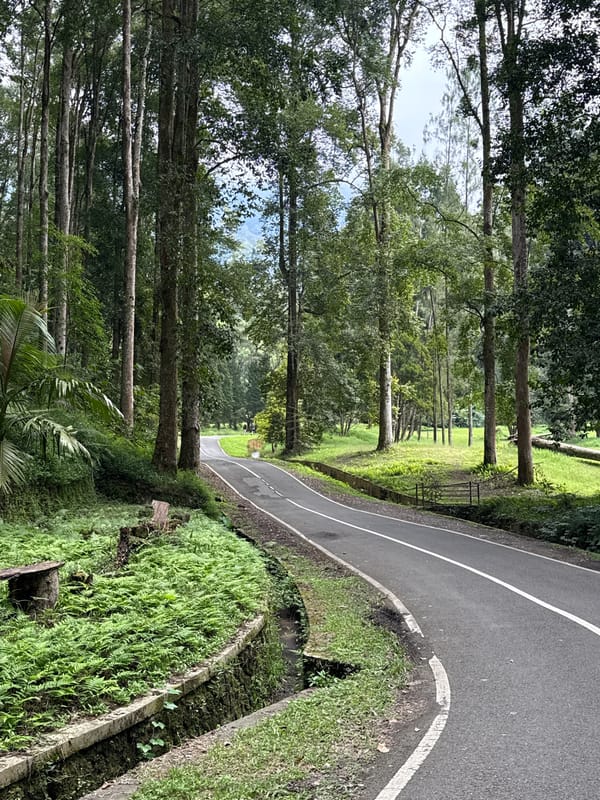 Early morning scenic drive documented through Baturiti's tropical landscapes