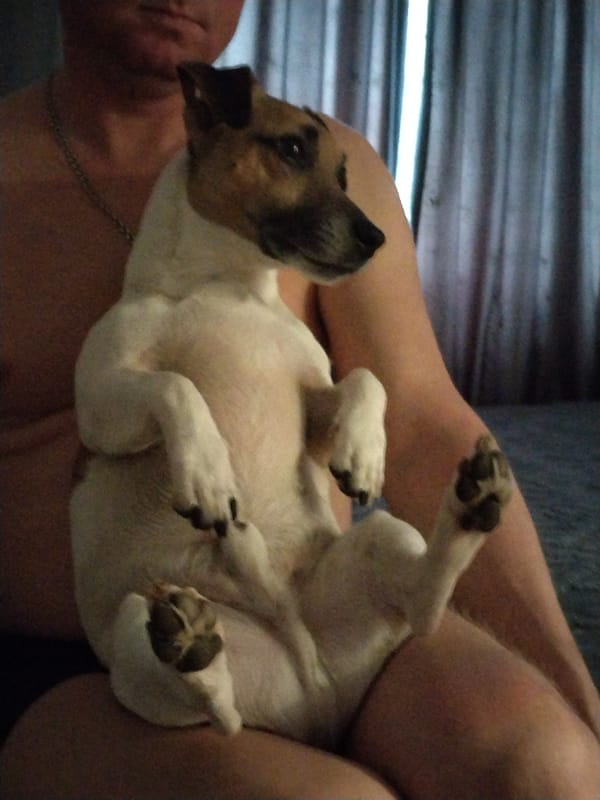 Man bonds with Jack Russell Terrier in Noviy, Russia