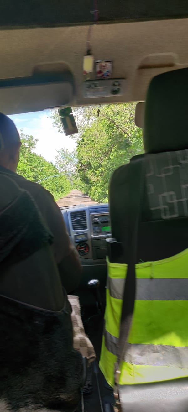 Driver's view of road and trees captured from vehicle interior