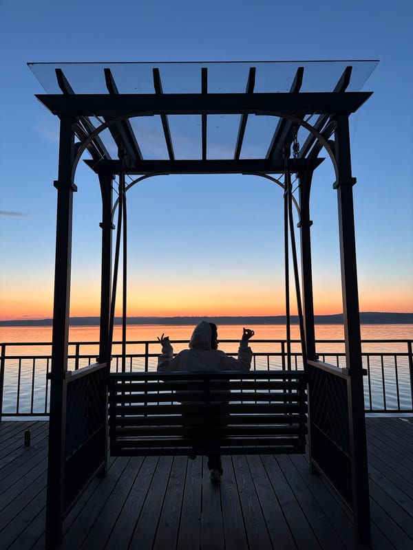 Person watches sunset from swing overlooking calm water