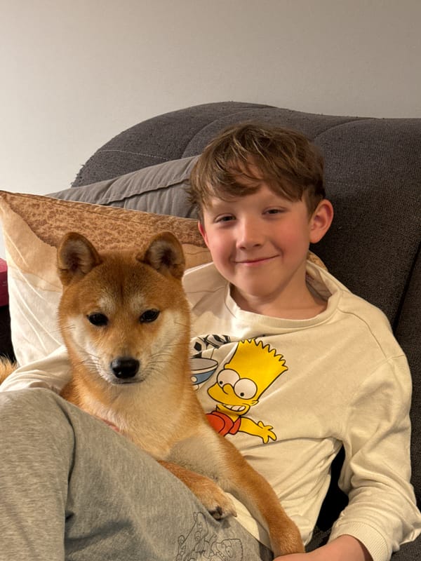Boy and Shiba Inu share quiet moment on sofa
