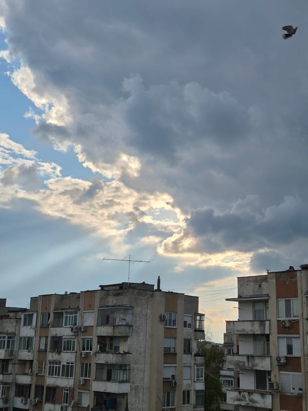Afternoon scenes documented in Pavlikeni: stormy skies, cats, streets