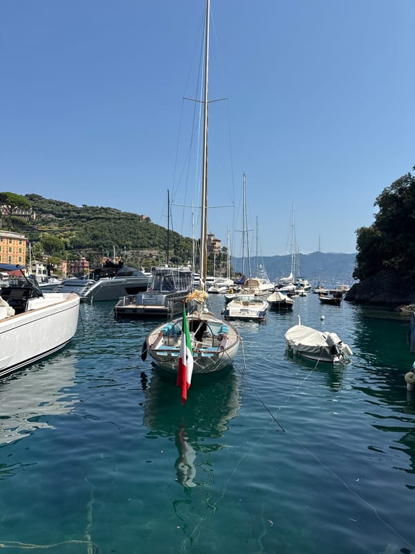 Portofino harbor on a bright summer morning, boats and all