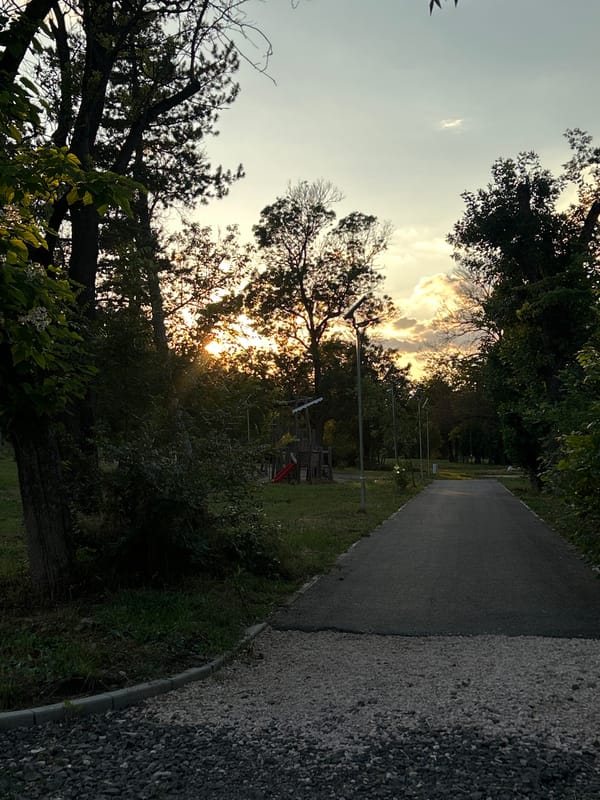 Evening bike ride through Dimitrovgrad park paths