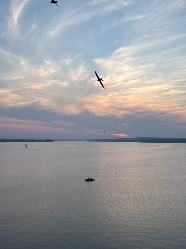 Sunset birds and color over the Votkinsk Reservoir