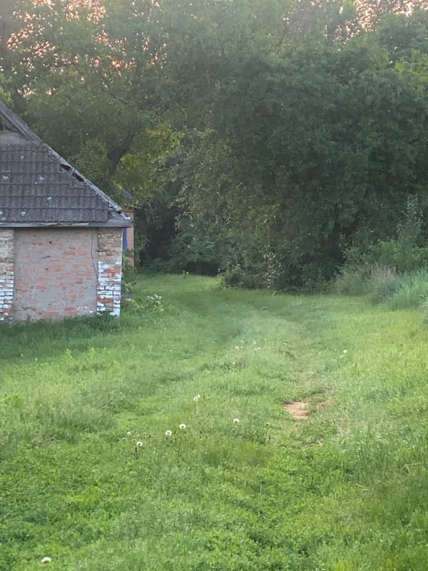 Rural sunset moments captured in Luka, Ukraine countryside