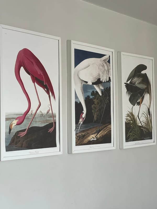 Individual documents home artwork and car interior scenes