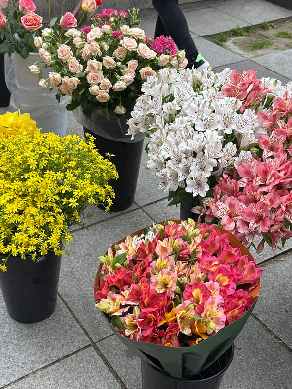 Casual walking tour documented through central Tbilisi streets