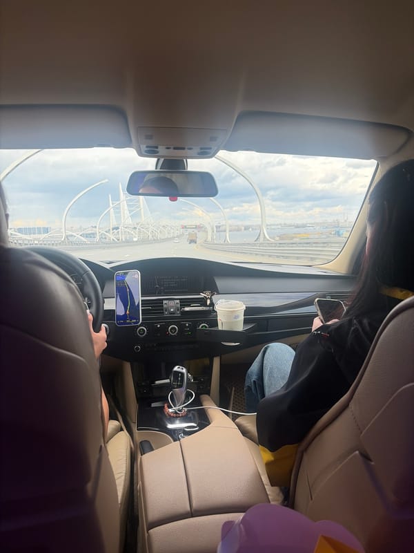 Routine car journey documented on Saint Petersburg bridge