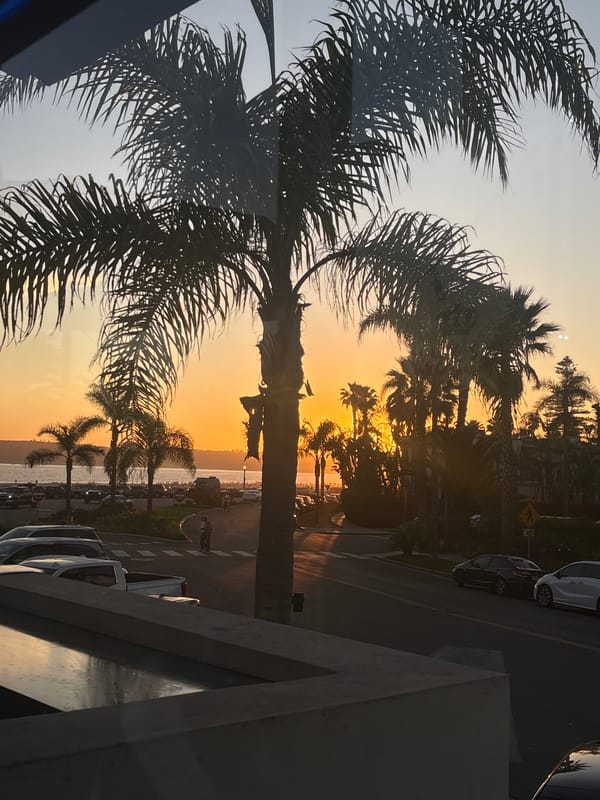 Sunset photographed with palm trees in Coronado, California