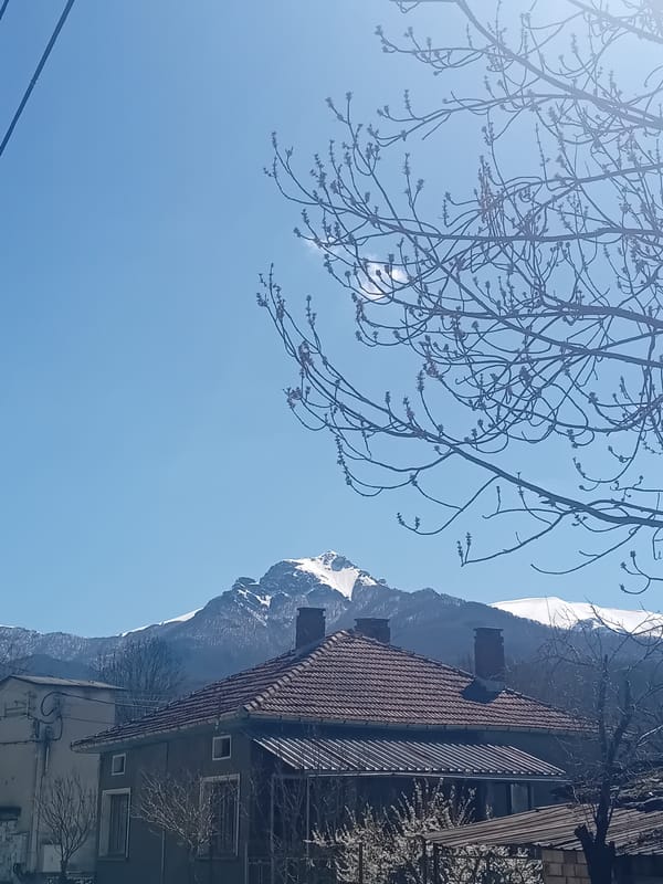 Spring blooms documented in mountainous village with red-roofed houses