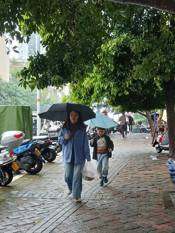 Mother and child walk in rain, Shapingba District