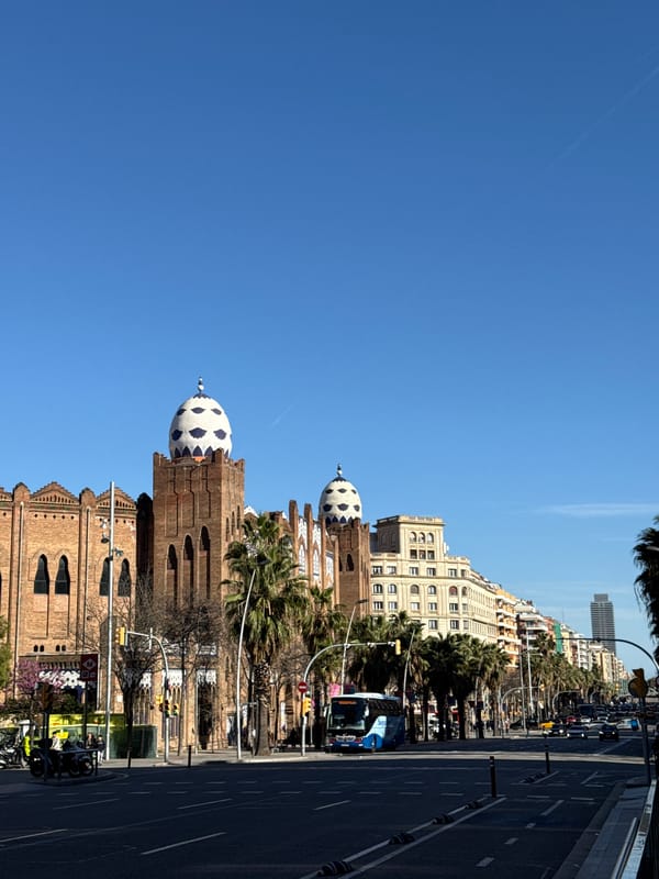 Ordinary afternoon moments captured across Barcelona neighborhoods