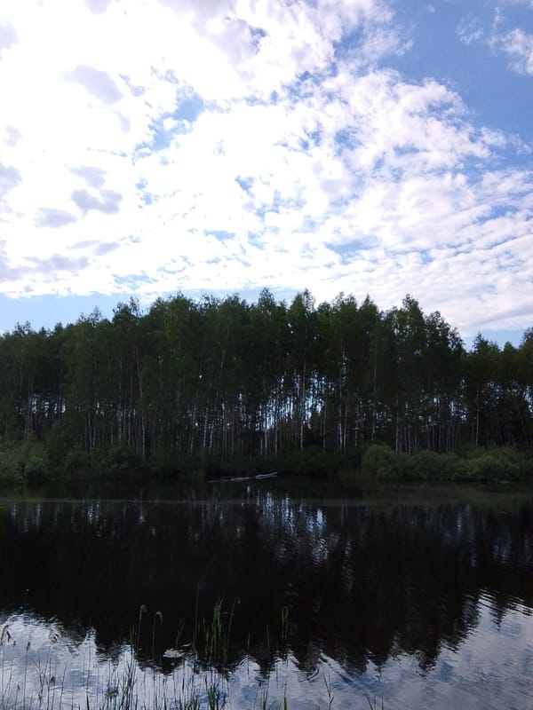 Still water reflects trees under cloudy Russian sky