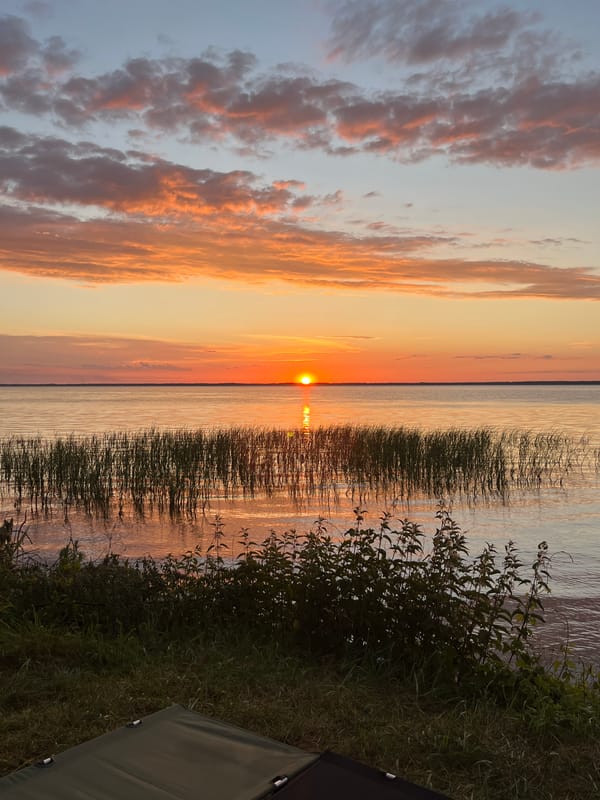 Sunset gathering by calm water with vibrant sky colors