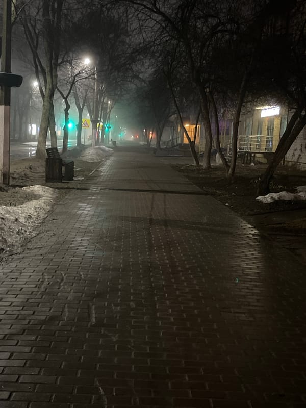 Woman documents selfie session across Chaikovsky, Russia locations