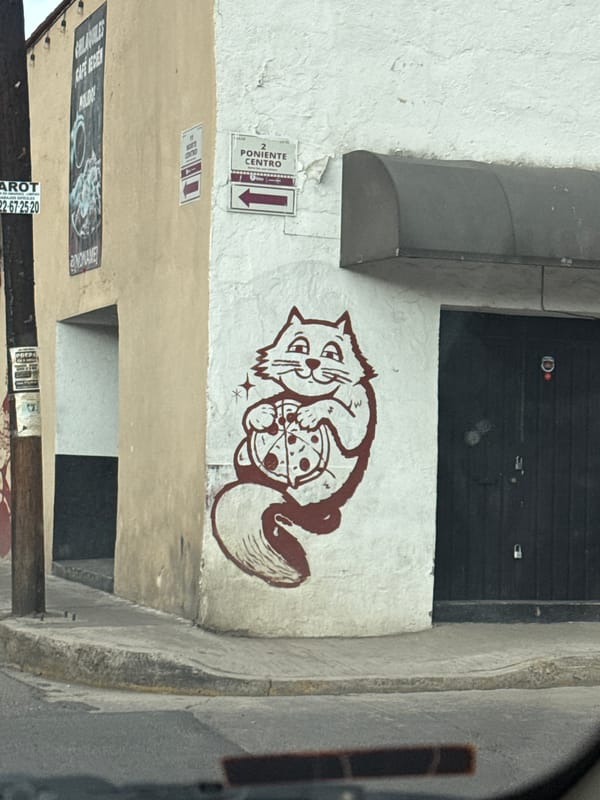 Cat-pizza mural spotted on Cholula building exterior