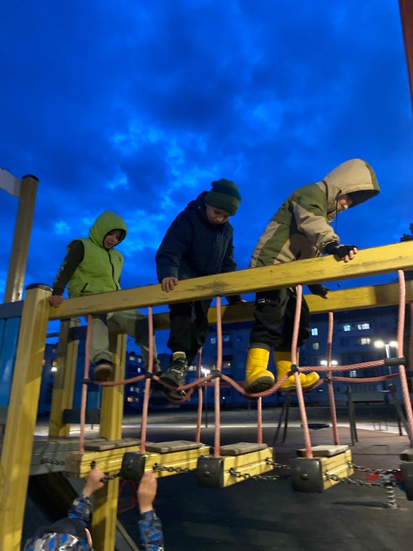 Evening playground activities and dog walking captured in Noviy