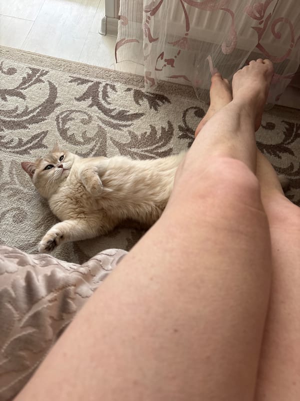 Daily life moments documented across Chaikovsky, Russia