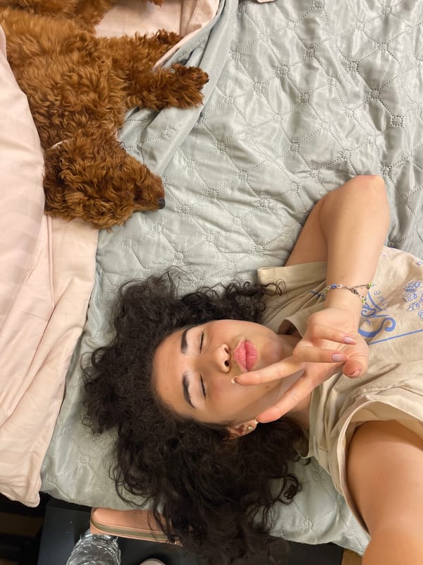 Woman and poodle share quiet evening at home in Sofia