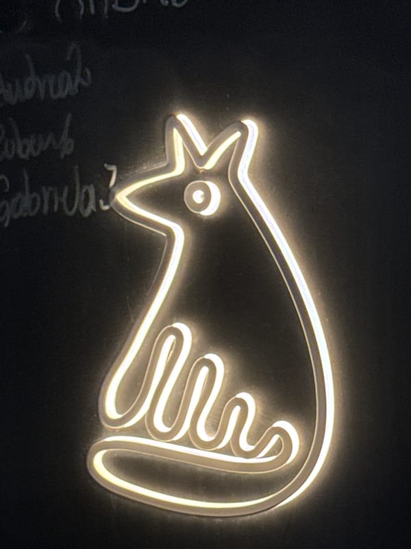 Late-night dining scene documented across Mexico City restaurant district