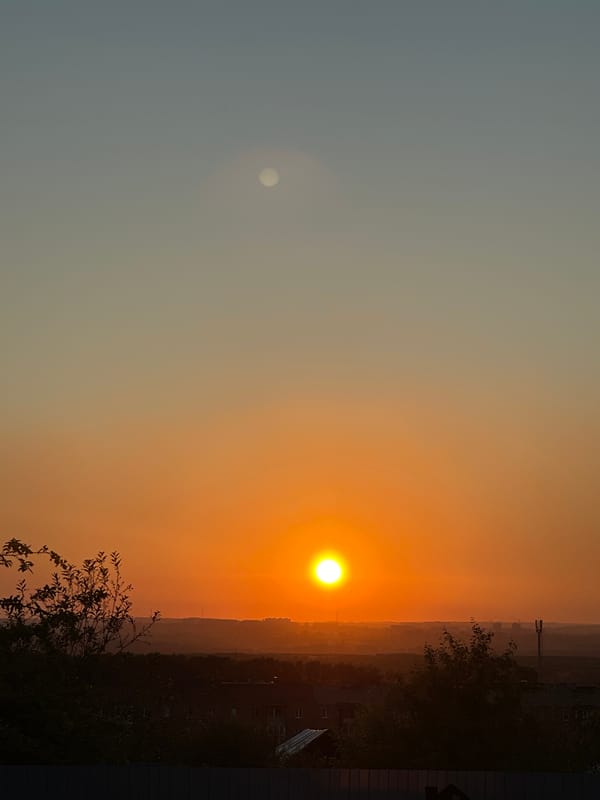 Golden hour in a Novokuznetsk backyard, summer solstice eve