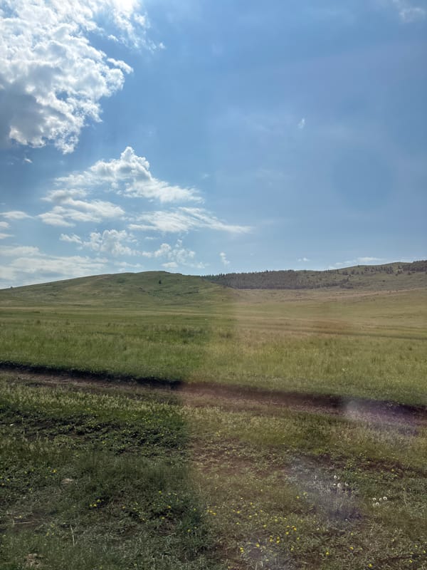 Rural Russia road trip documented through grasslands and wildflowers