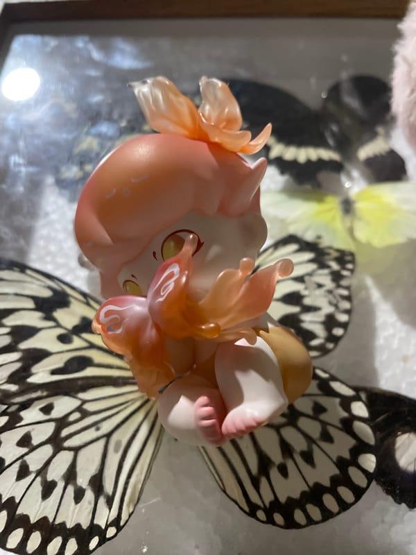 Private butterfly collection displayed with figurines in Davao City